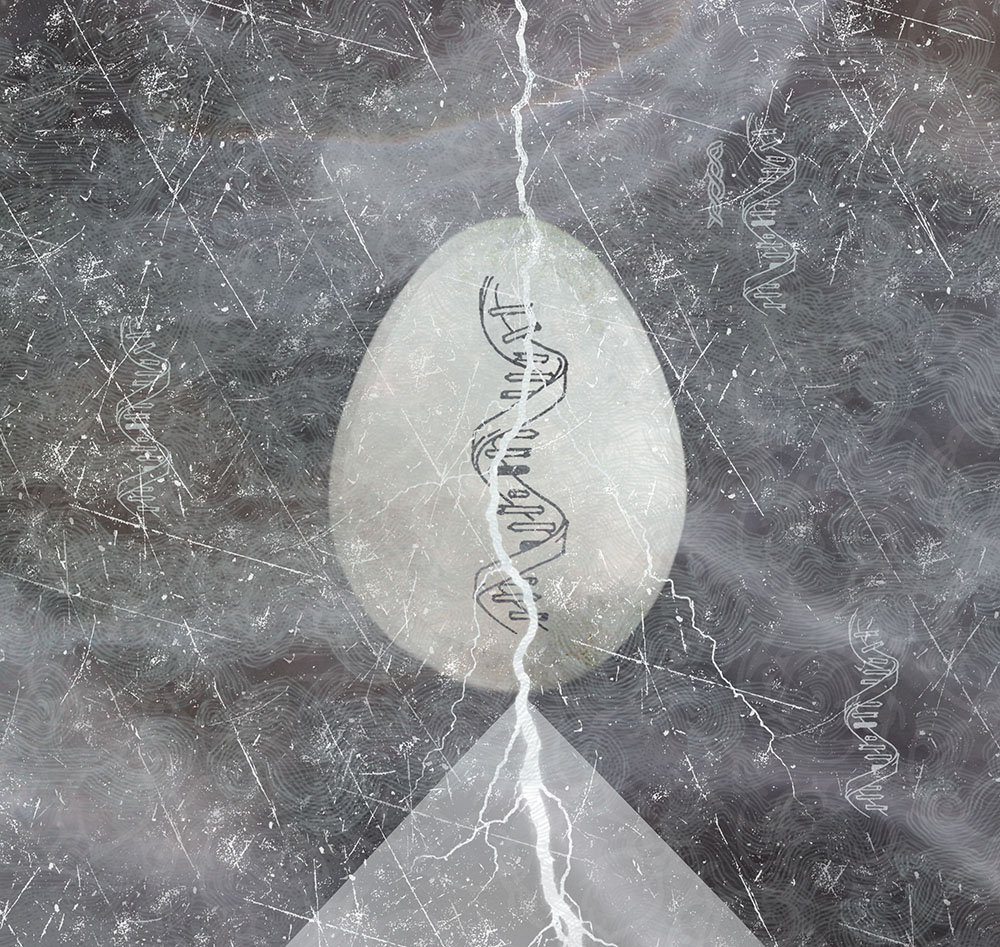 dna